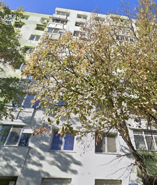 Colentina, Mc Donald's Rau Bacila