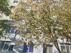 Colentina, Mc Donald's Rau Bacila